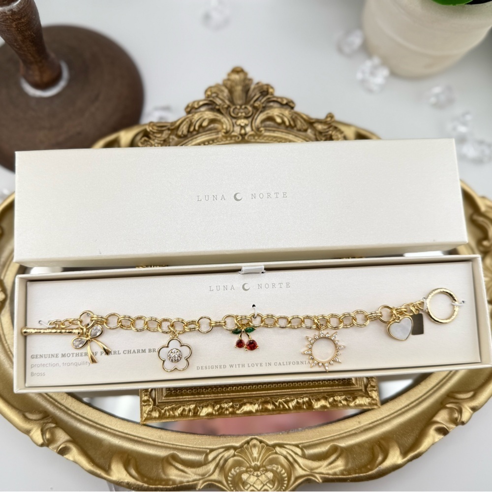 Luna Norte Mother of Pearl Charm Bracelet - Picture 3 of 5